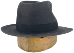 Fedora by Tonak