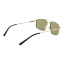 Serengeti Wayne Sunglasses – Shiny Light Gold / 555nm®