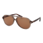 WEB Eyewear Men’s Aviator Sunglasses – Brown